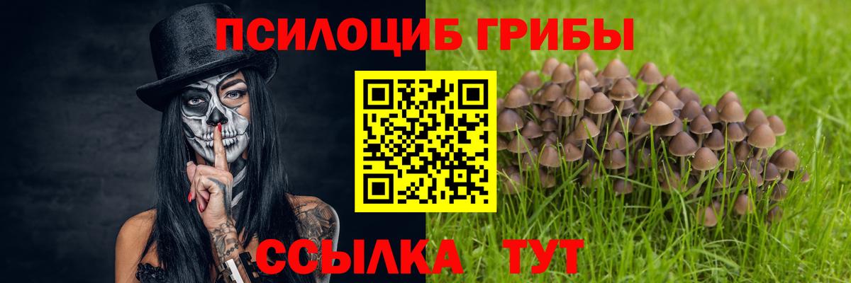 Ялта  Псилоцибиновые грибы Magic Shrooms  Вход с VPN 