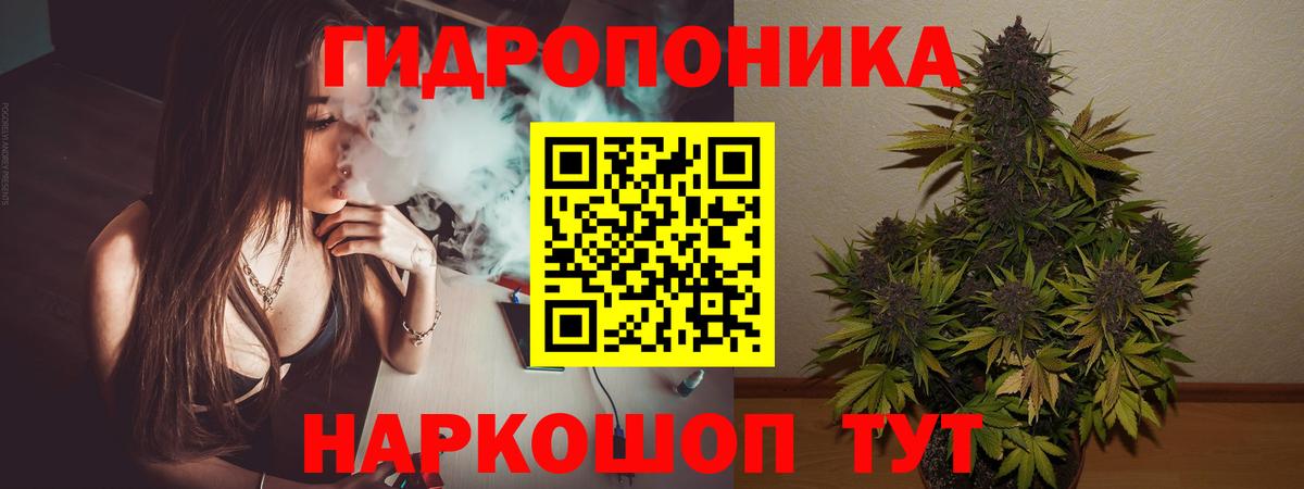 Бошки Шишки VHQ Ялта